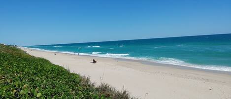 On the beach, sun-loungers, beach towels