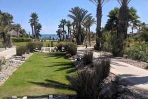 Un jardín ajardinado con palmeras, un sendero y una zona de piscina.