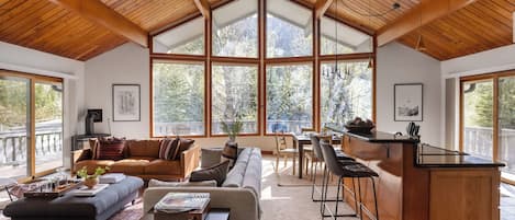 Televisión 55 pulgadas con canales de televisión digitales, chimenea