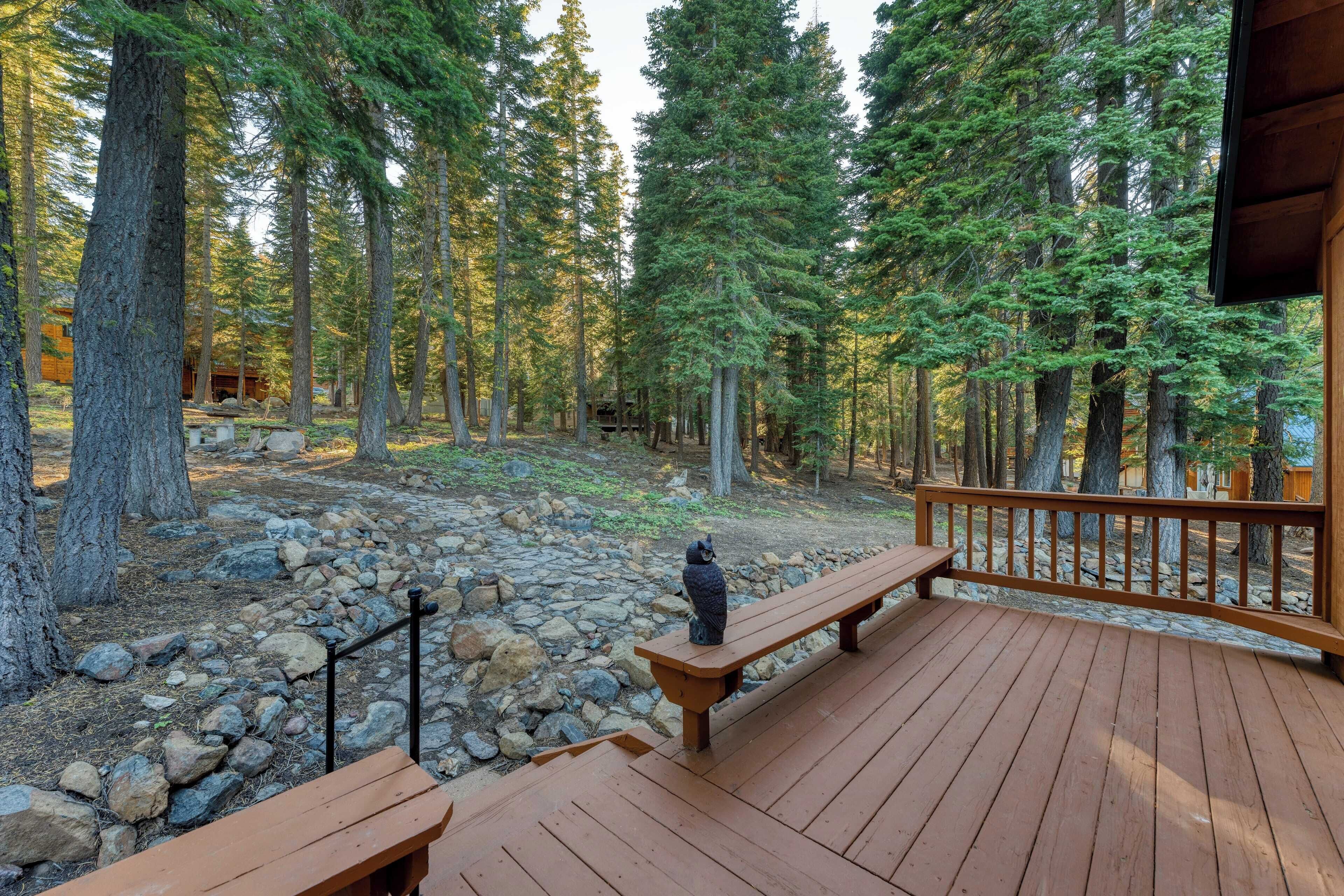 Une terrasse en bois avec des bancs, entourée d’une forêt aux arbres imposants et au sol rocheux.