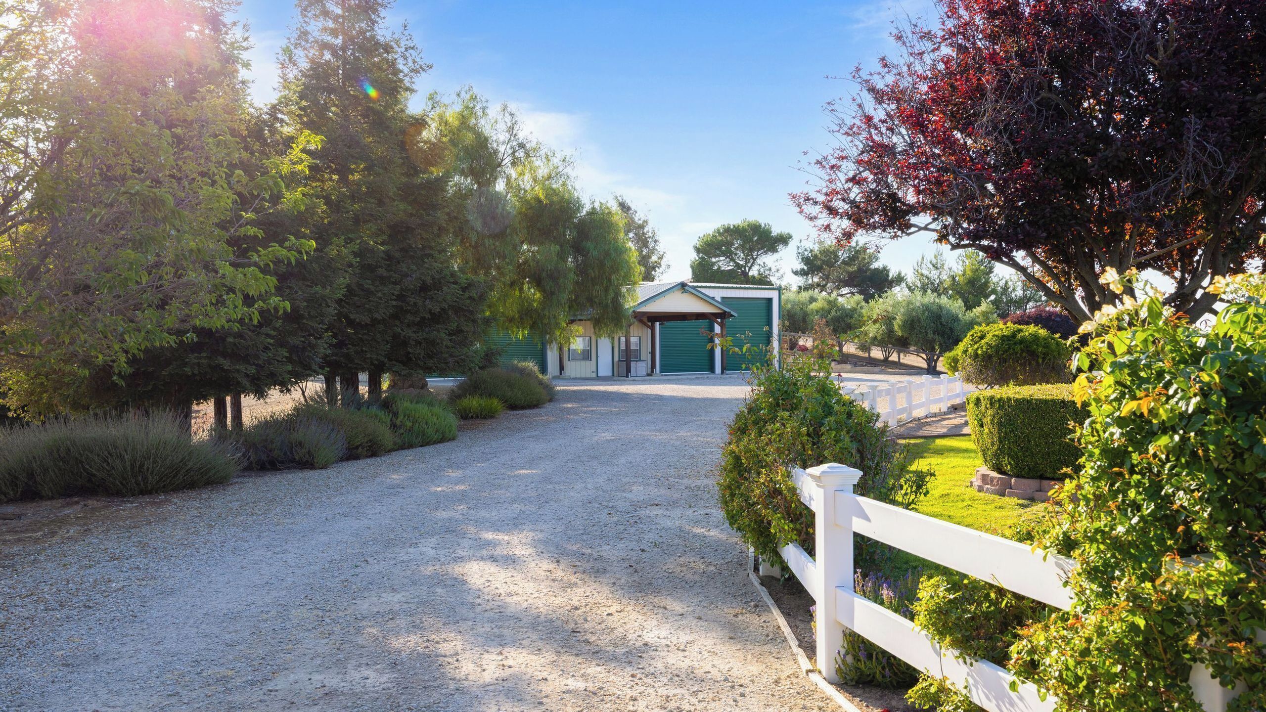 A gravel driveway leading to a building with a green door, surrounded by well-maintained hedges and trees.