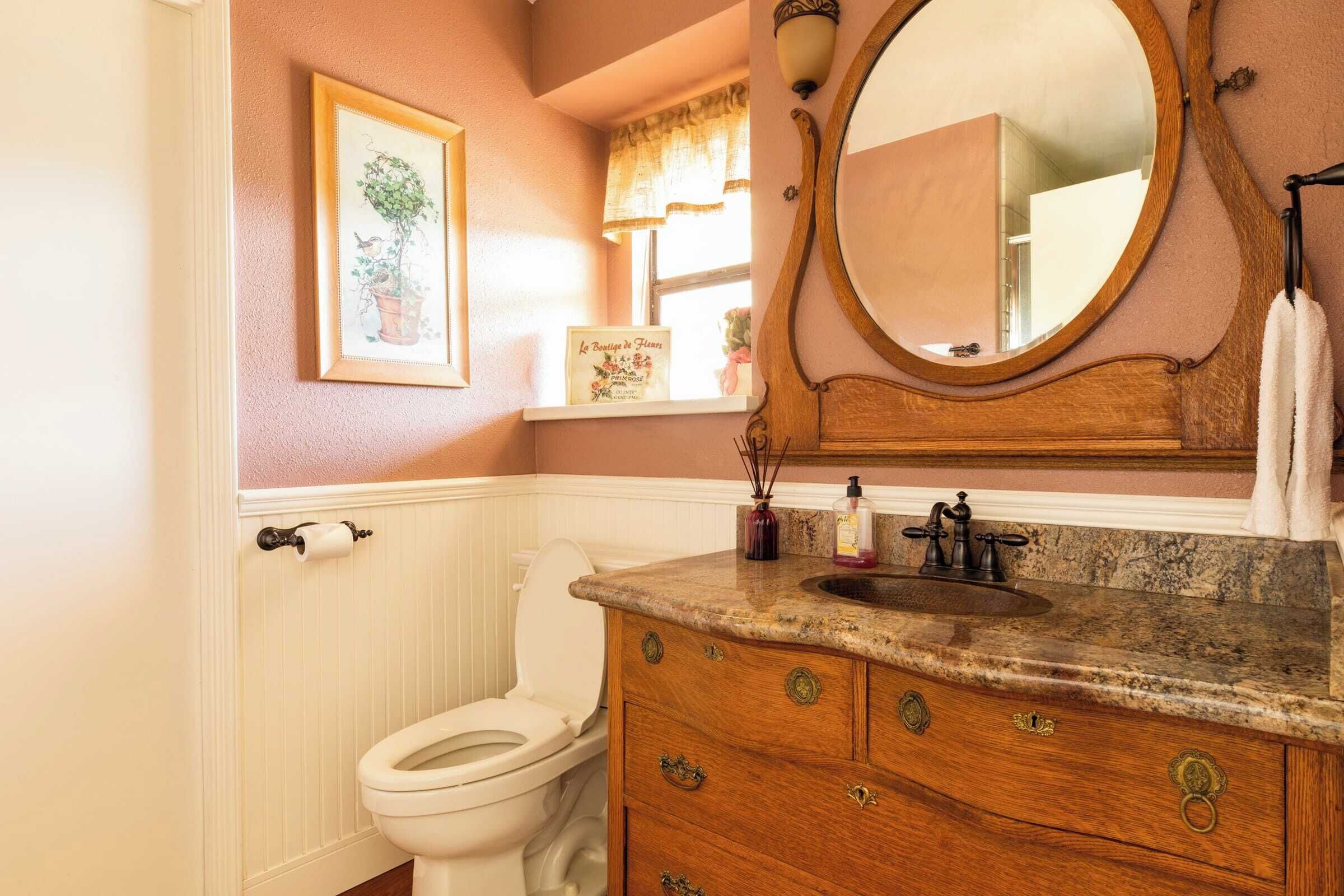 A bathroom with a white toilet, wooden vanity with drawers, a large mirror, and a framed picture on the wall.