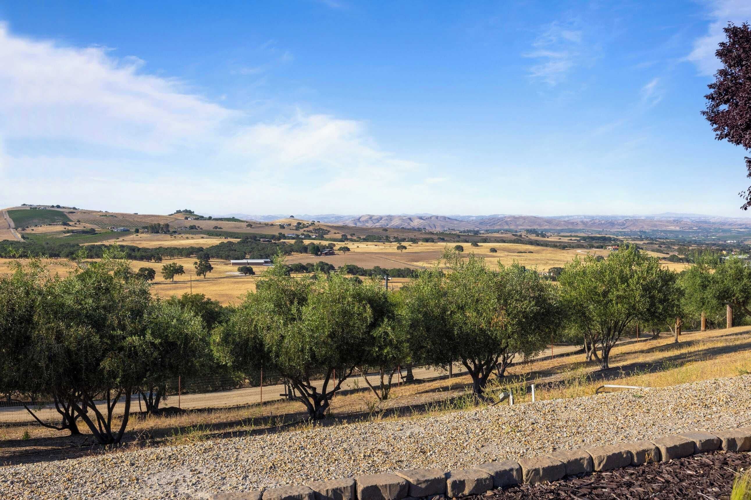 A rural landscape with olive trees and rolling hills in the background.