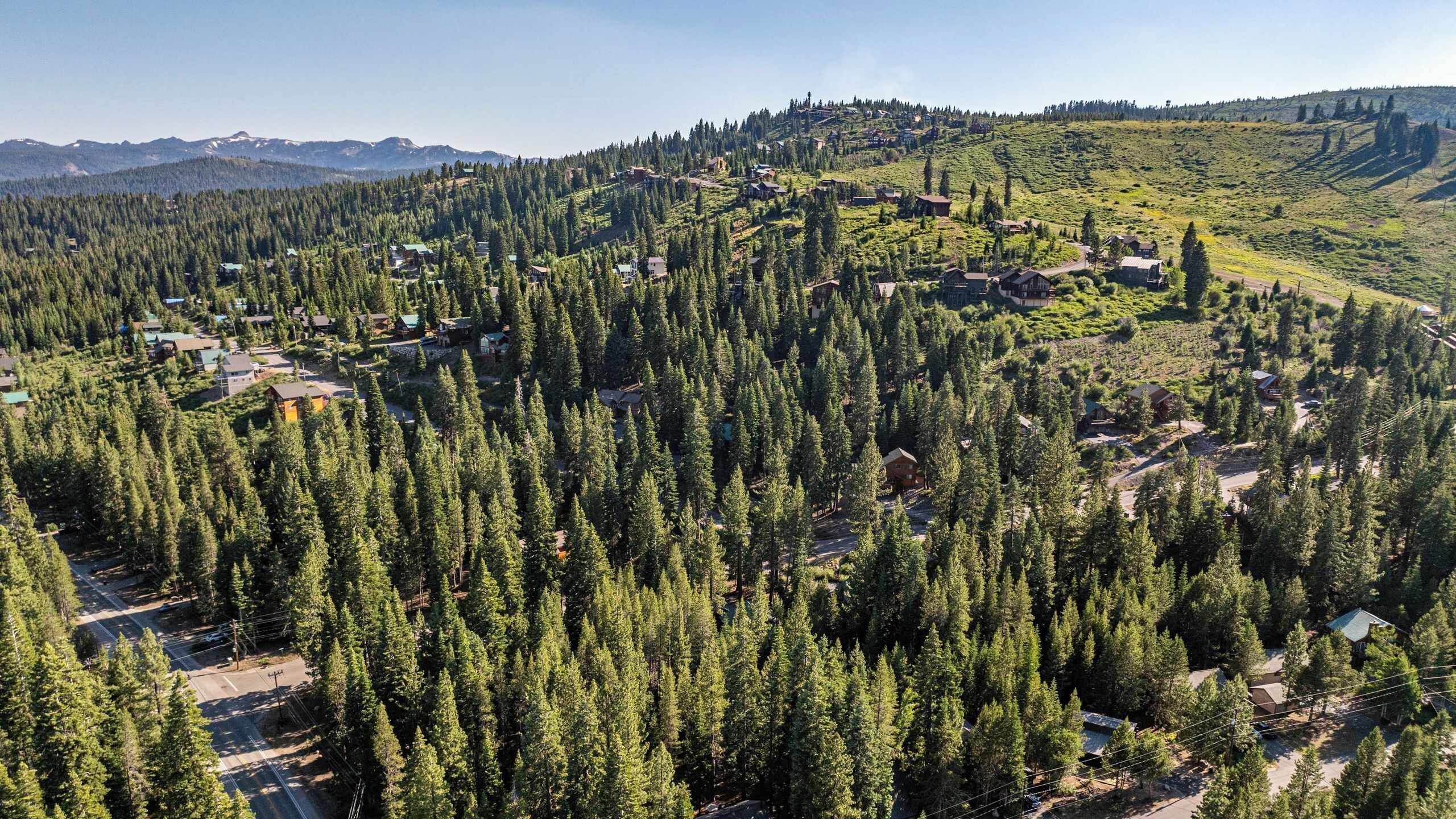 A forested area with scattered buildings, roads, and a mountain range in the background.