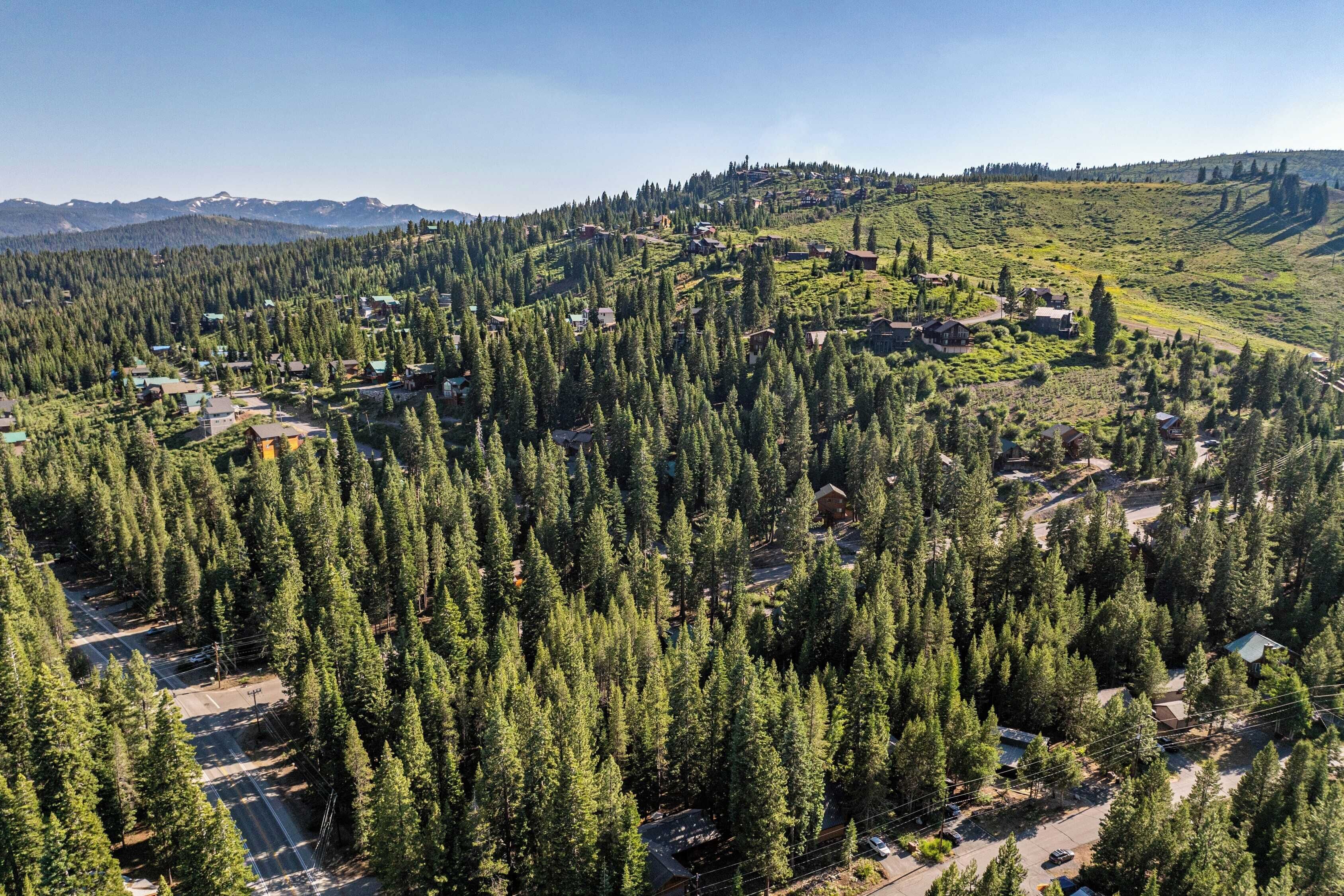 An aerial view of a forested area with scattered houses and a road.
