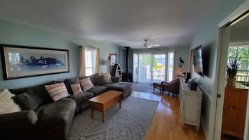 Smart TV, fireplace, DVD player, books