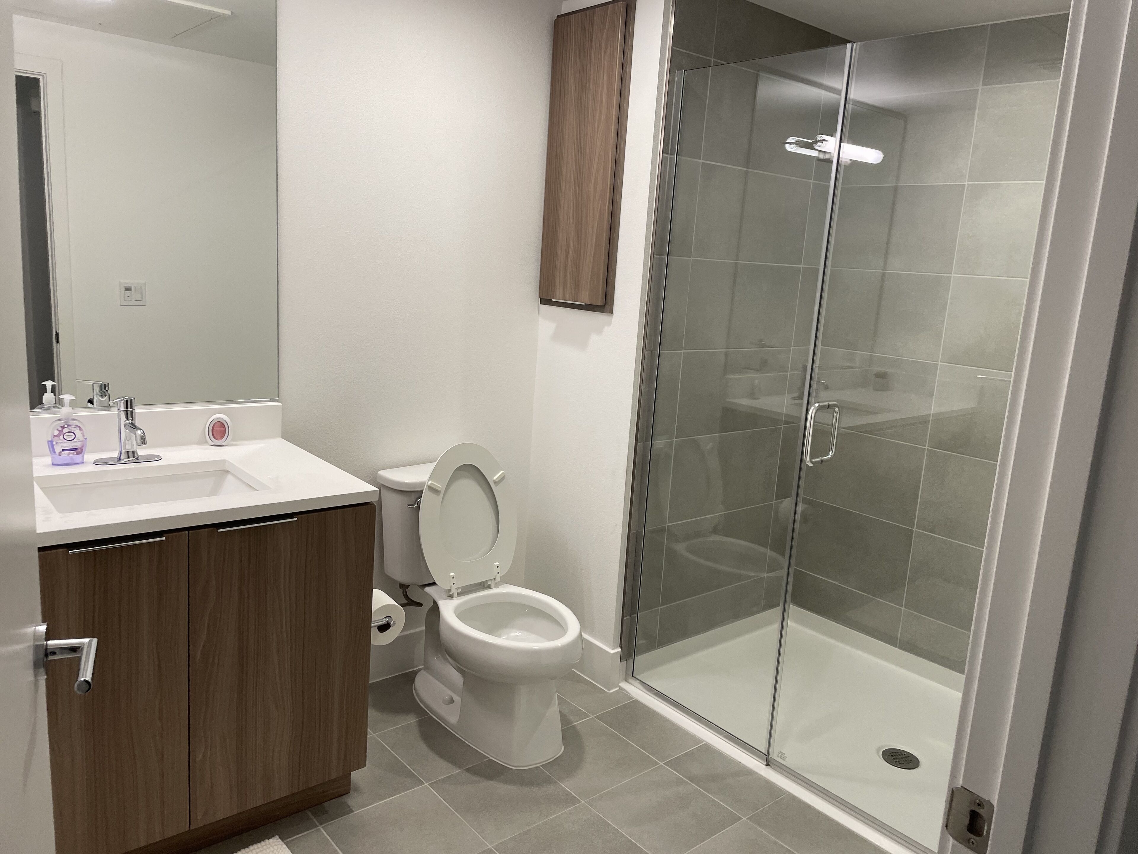 Luxury Furnished Apartment West San Jose with Many Amenities 