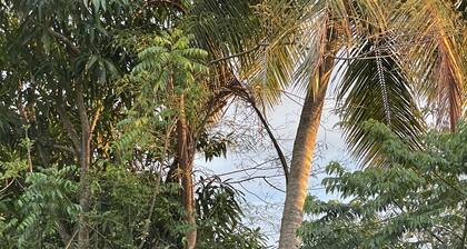 Ocean View Home with private pool and parking. Sleeps 13