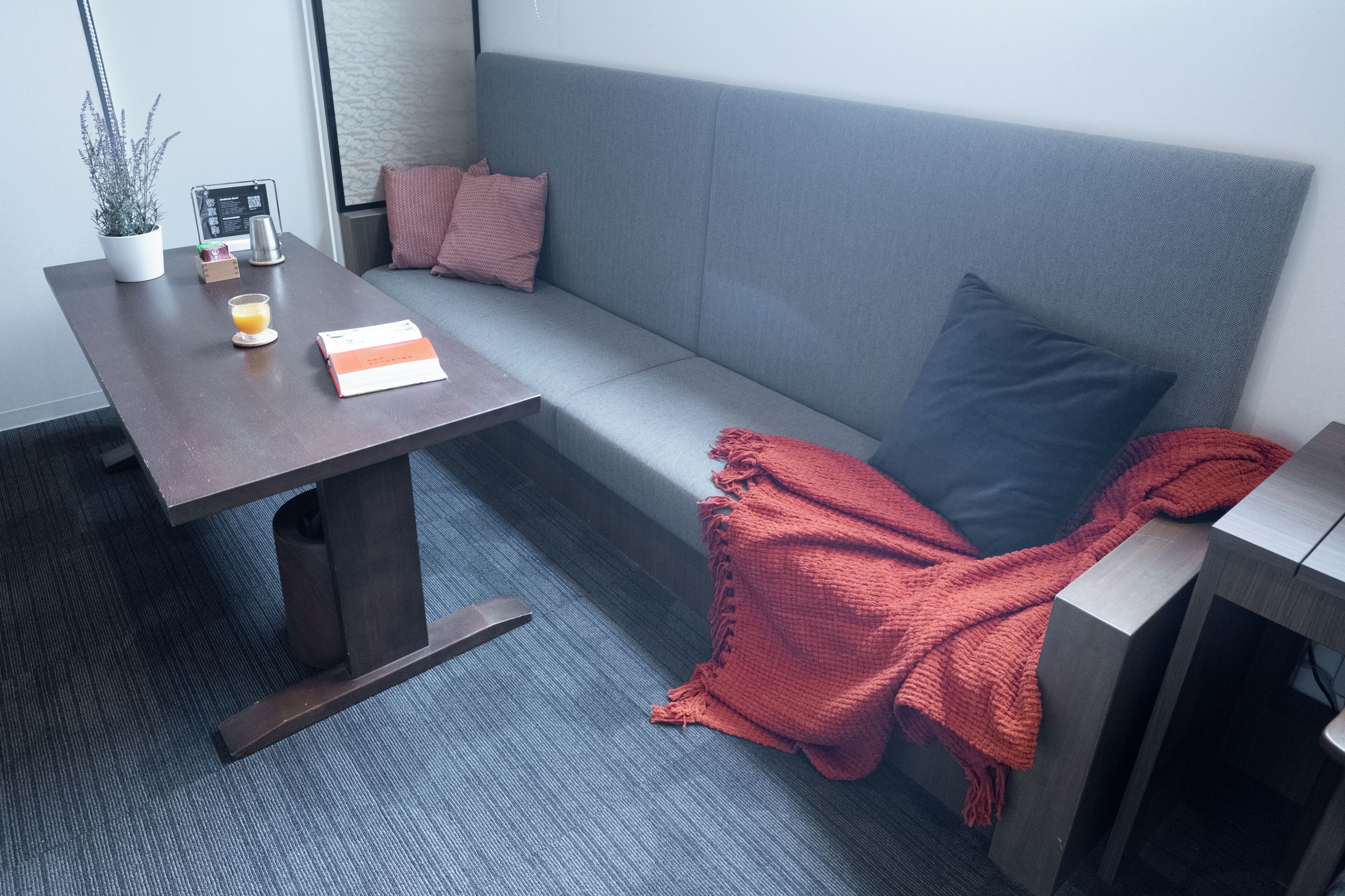 Una camera moderna con un divano grigio, un tavolo di legno con una pianta in vaso, un bicchiere di succo d'arancia e una coperta rossa.