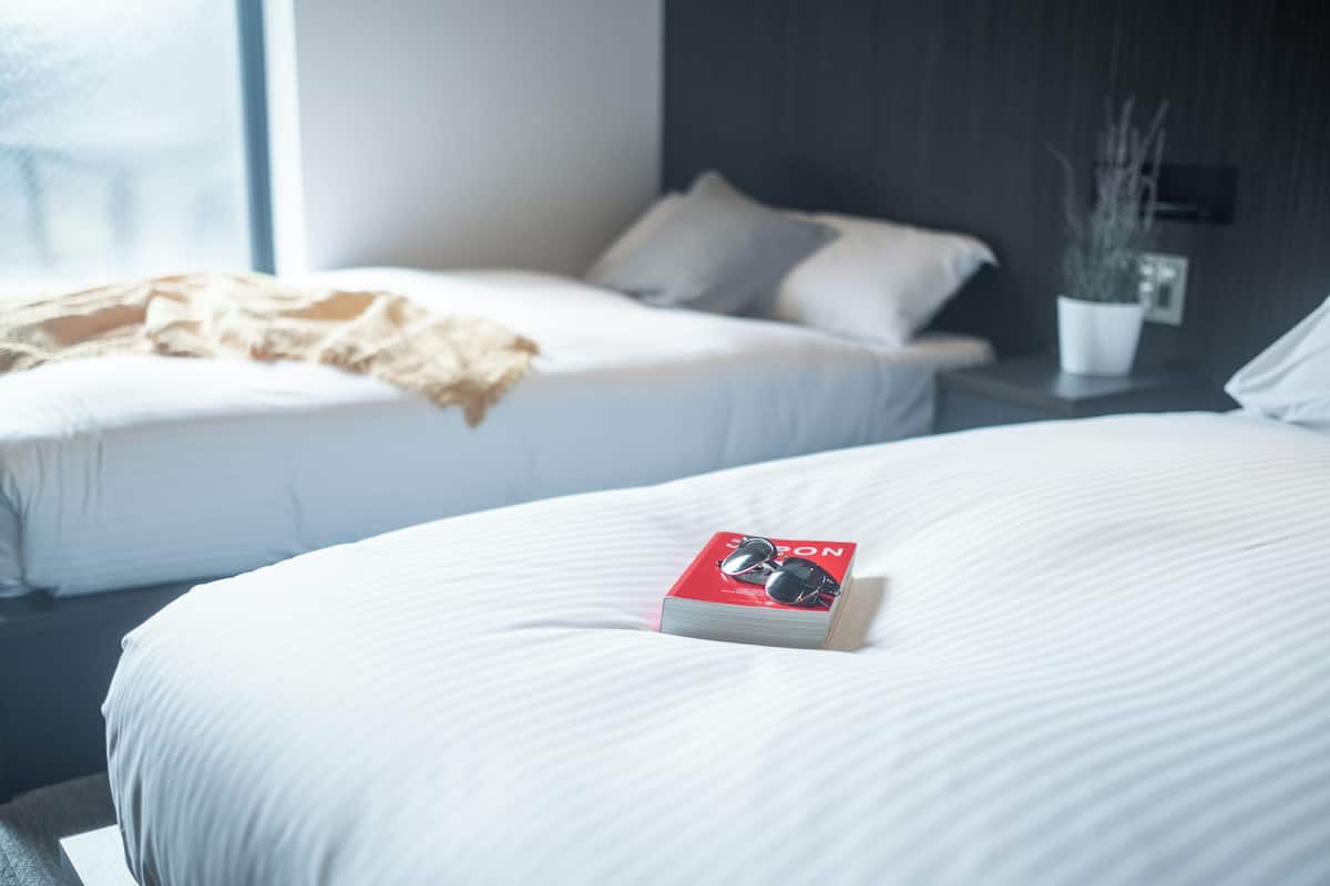 A hotel room with two beds, a bedside table with a plant, and a window with a view.