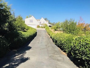 Een geplaveide oprit leidt naar een wit huis met garage, omgeven door goed onderhouden hagen en bomen.