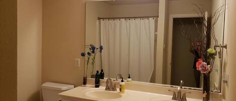 Combined shower/bathtub, hair dryer, bidet, towels