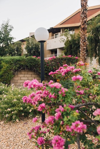 Mountain view Cocoon inspired by Frida Kahlo : Tennis-Hot tub-Pool-Downtown