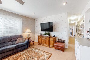 TV, DVD player, video library