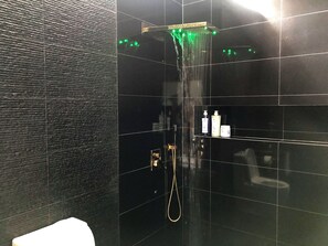 Shower, hair dryer, bidet, towels