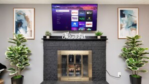 Un salon avec une cheminée, un téléviseur fixé au mur diffusant des services de streaming et deux plantes en pot.