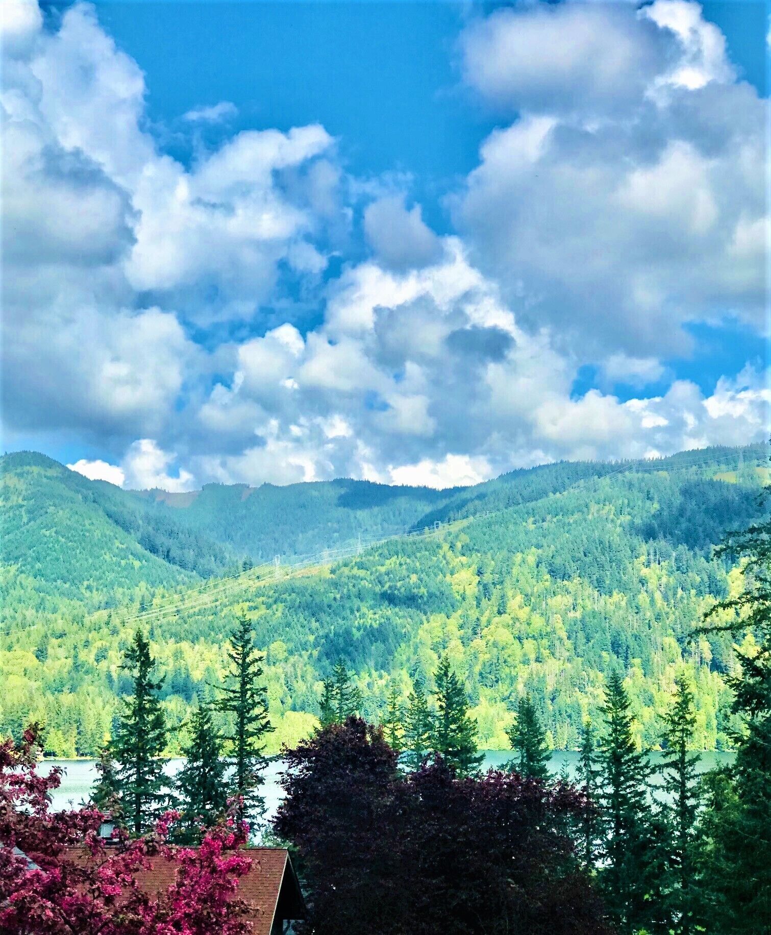 Perfect vacation with everything your family needs in a rental property.