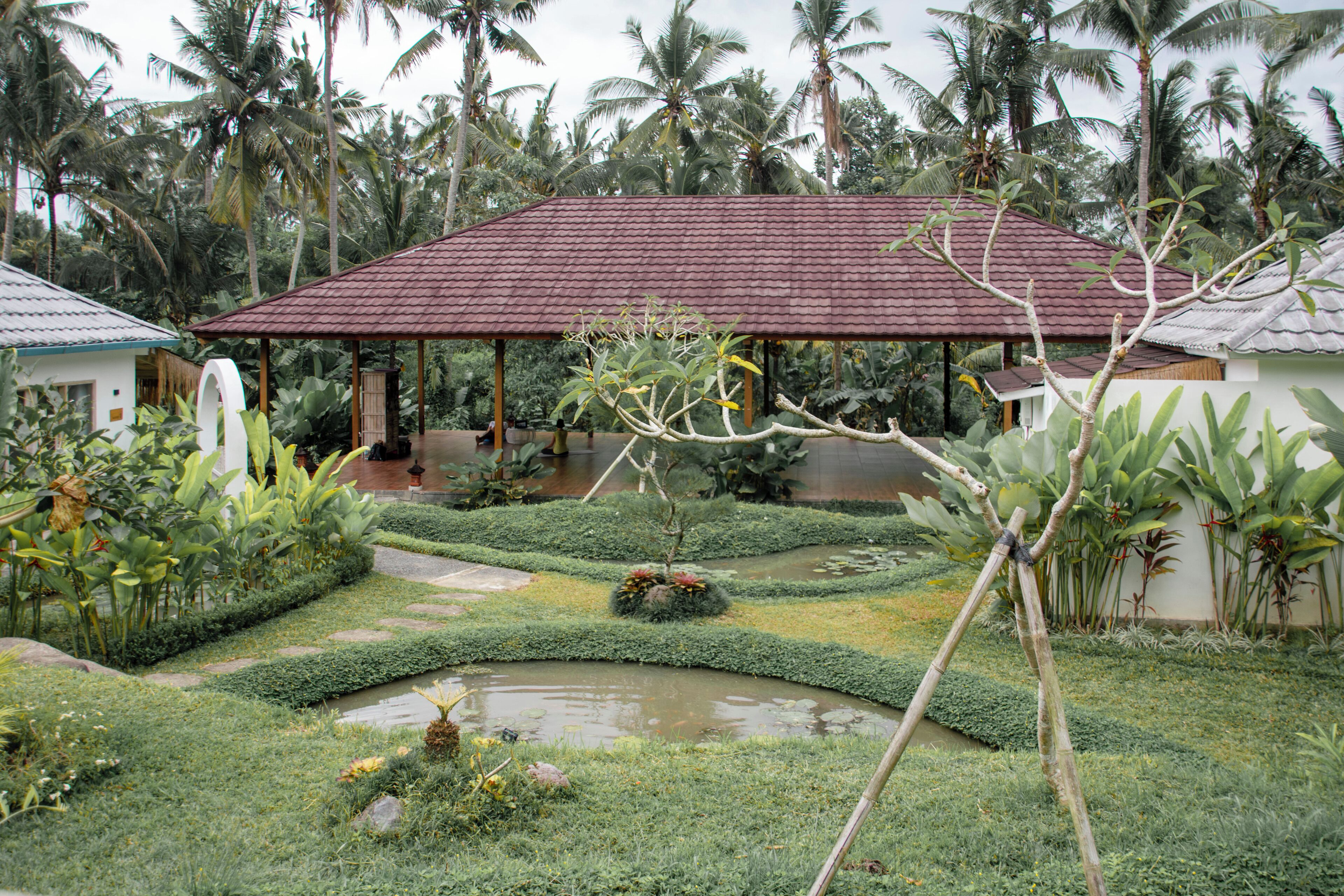 Un giardino tropicale con un padiglione coperto, un piccolo stagno e vegetazione rigogliosa.
