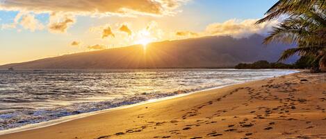 Una playa con huellas que conducen al agua, una palmera y una puesta de sol al fondo.