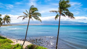 Una playa con palmeras y vista al océano.