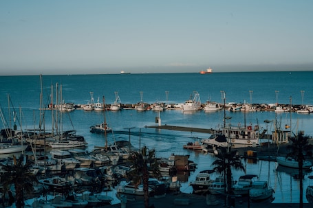 Vista desde la propiedad