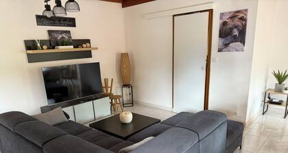 Gîte 12 personnes avec JACUZZI