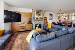TV, fireplace, books