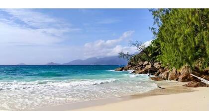 KOKET by Yellow Petals – Sea, Nature & Relax