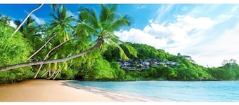 KOKET by Yellow Petals – Sea, Nature & Relax