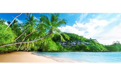 KOKET by Yellow Petals – Sea, Nature & Relax