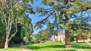 Un chemin menant à un grand bâtiment entouré d’arbres.