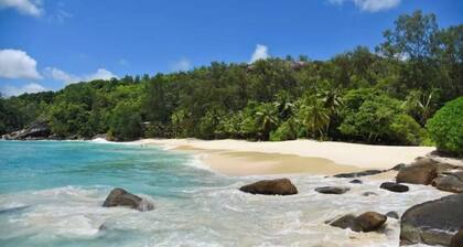 ALAMANDA by Yellow Petals - Sea, Nature & Relax