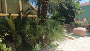 Un jardin agrémenté de palmiers, un sentier en pierre et un grand pot en argile.
