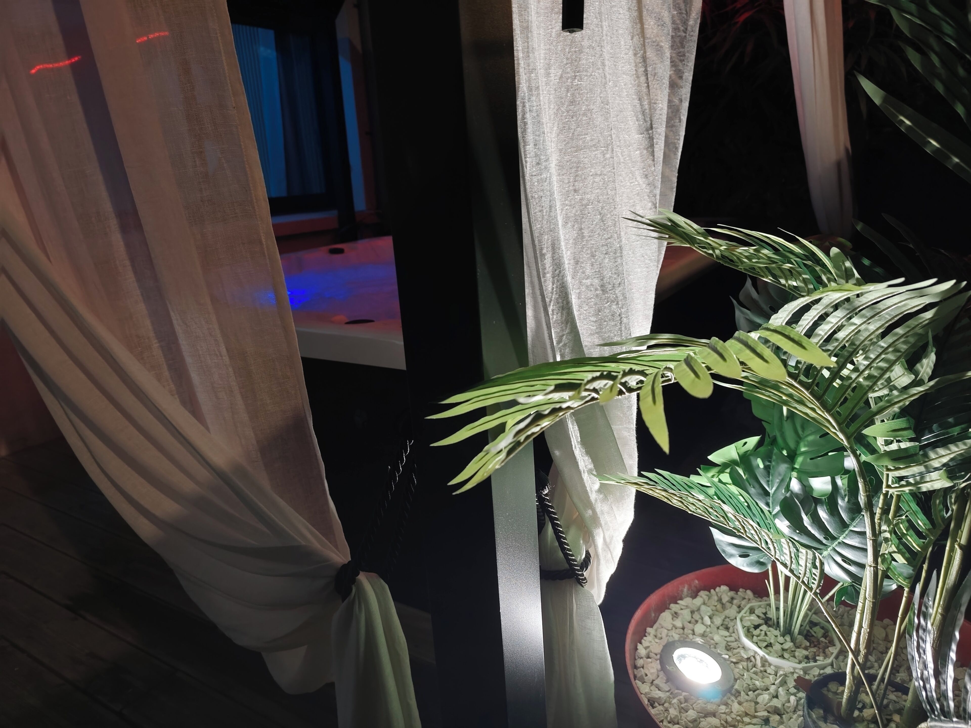 Une pièce avec un lit, une plante en pot et une fenêtre avec des rideaux.