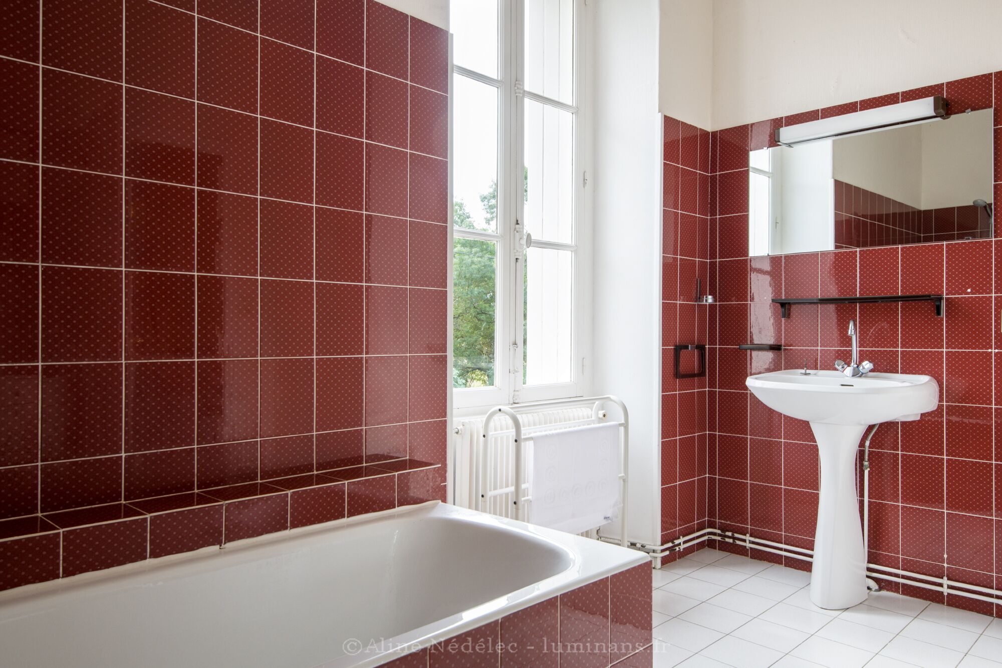 Magnifique gite en pleine nature