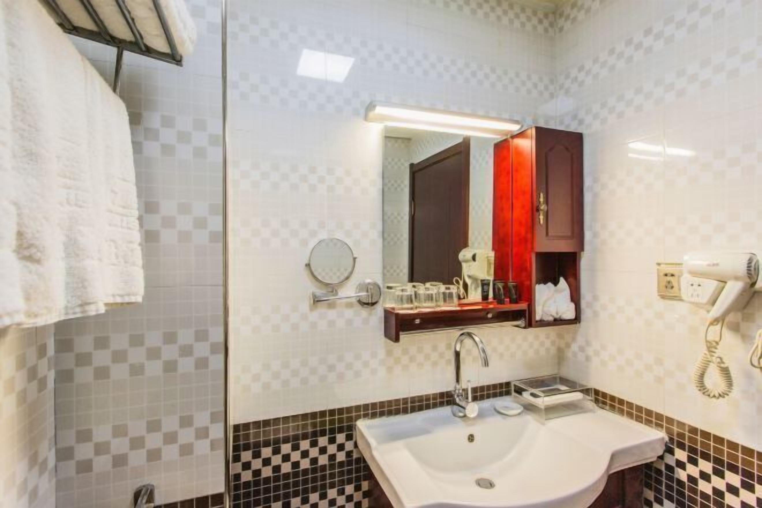 A bathroom with a white sink, a mirror, a towel rack, a hairdryer, and a shelf with toiletries.