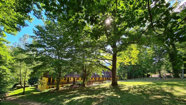 A tree-lined pathway leading to a yellow building with a sloped roof. - Appartement au Calme Dans Residence Avec Piscine, Entouré de Foret (Bœrsch)