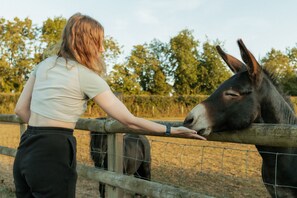 Hytte | Overnattingsstedets uteområder