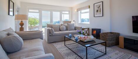 Una televisión, una chimenea, libros