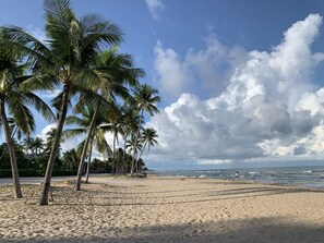 Nær stranden, solsenger og strandbar