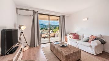 Televisio, DVD-soitin