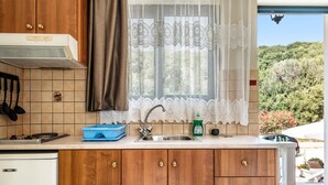 Una cocina con armarios de madera, un fregadero, una ventana con cortinas de encaje y vistas al verdor exterior.