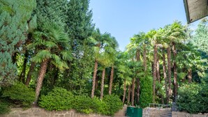 Een binnenplaats met hoge palmbomen, weelderig groen blad, stenen muren en een metalen poort.