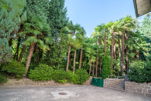 A courtyard with tall palm trees, dense green foliage, stone walls, and a metal gate.