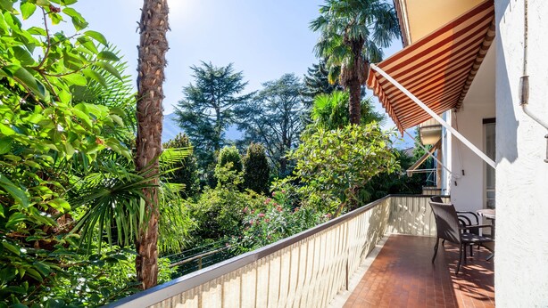 Een balkon met uitzicht op weelderig groen, een palmboom en een gestreept zonnescherm.