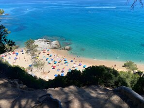 Ein Strand mit klarem, blauem Wasser, sandigem Ufer und vielen bunten Sonnenschirmen.