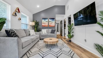 Smart TV, fireplace, books