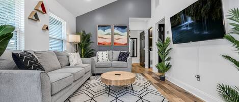 Smart TV, chimenea y libros