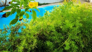 Vue d’une zone côtière avec une piscine, de la végétation et une marina située au loin.