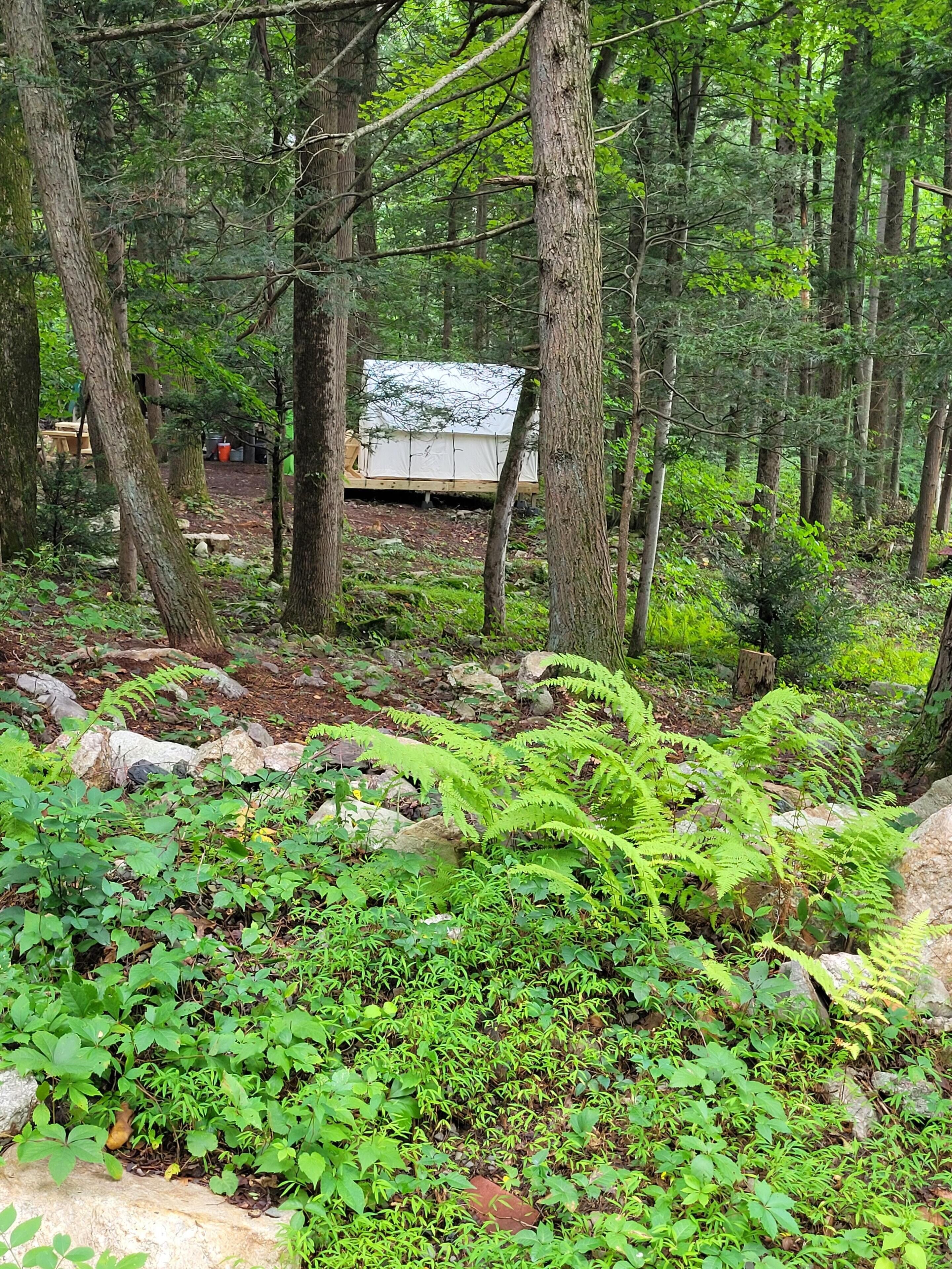 Tentrr Signature Site - Mountain Laurel Retreat